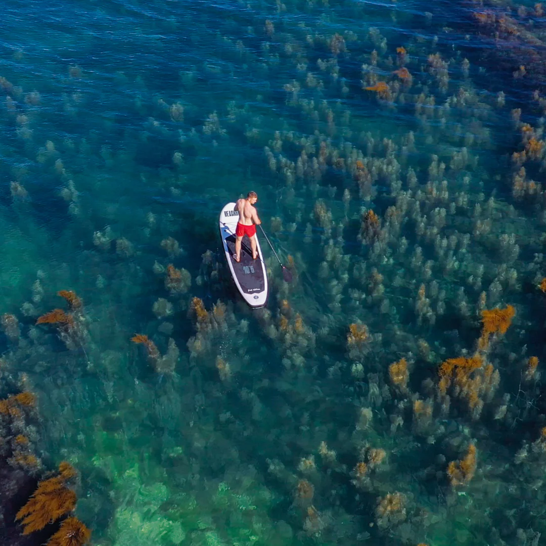 THE OG PADDLE BOARD FULL KIT - Image 4